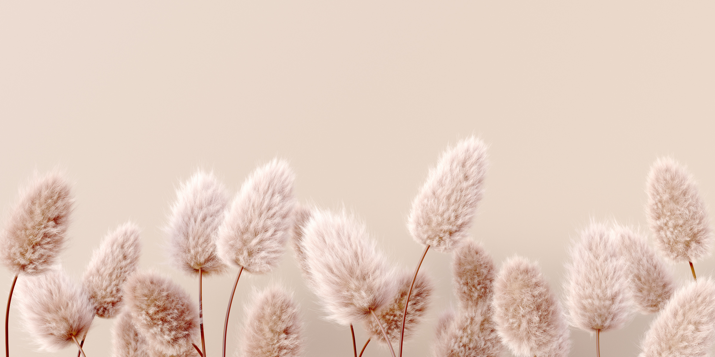 Dry Fluffy Flowers Beige Pastel Color Boho Background 3D Renderi