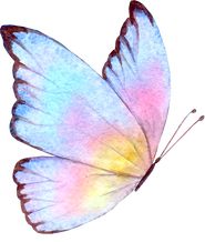 Multicolor Watercolor Butterfly