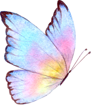 Multicolor Watercolor Butterfly