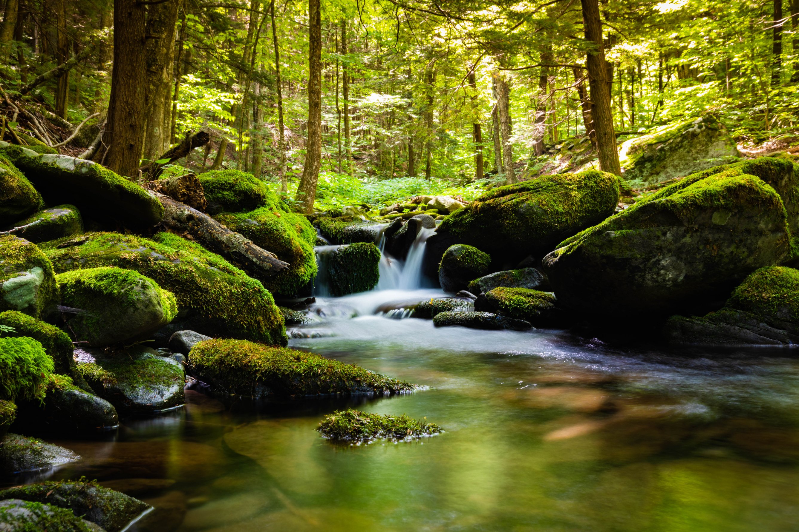 River Flowing Through the Green Rocks